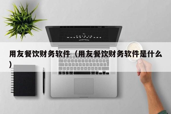 用友餐饮财务软件（用友餐饮财务软件是什么）
