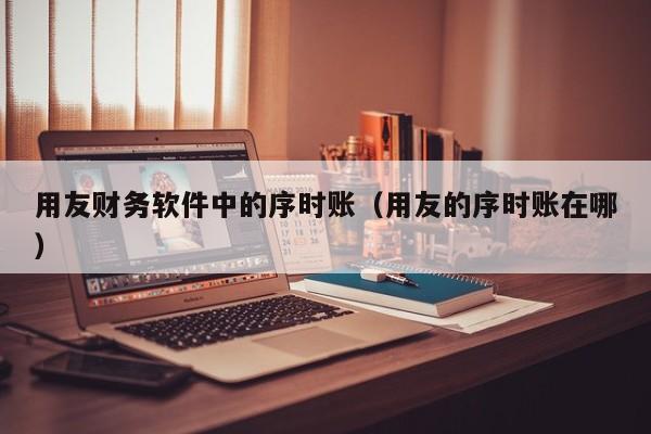 用友财务软件中的序时账（用友的序时账在哪）