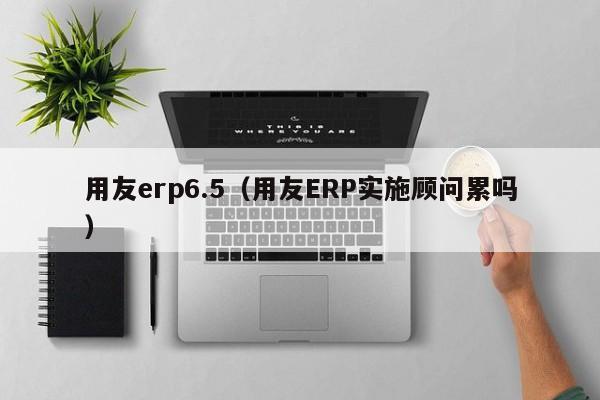 用友erp6.5（用友ERP实施顾问累吗）