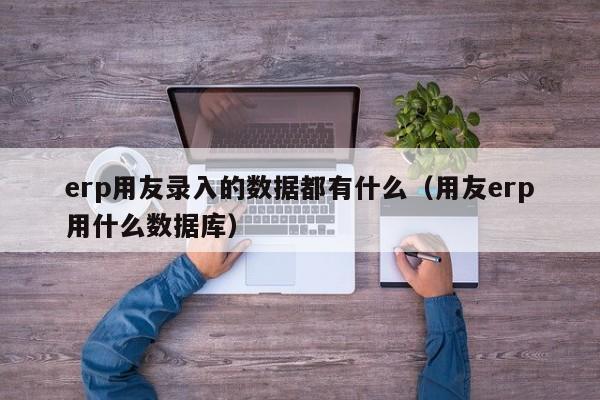 erp用友录入的数据都有什么（用友erp用什么数据库）