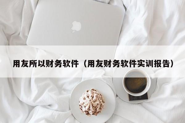用友所以财务软件（用友财务软件实训报告）