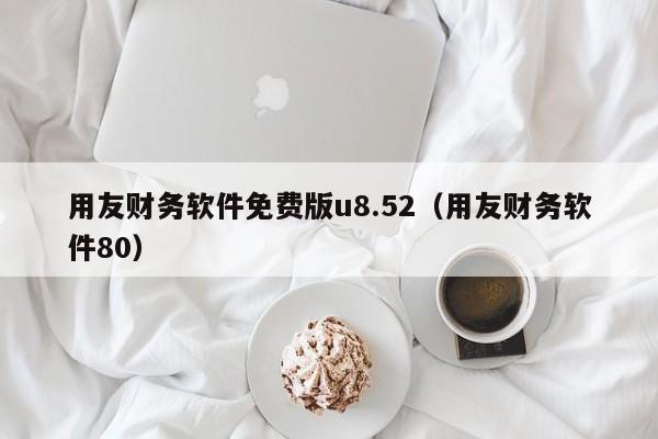用友财务软件免费版u8.52（用友财务软件80）
