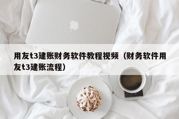用友t3建账财务软件教程视频（财务软件用友t3建账流程）