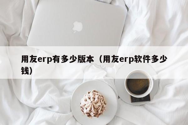 用友erp有多少版本（用友erp软件多少钱）