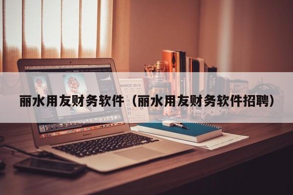 丽水用友财务软件（丽水用友财务软件招聘）